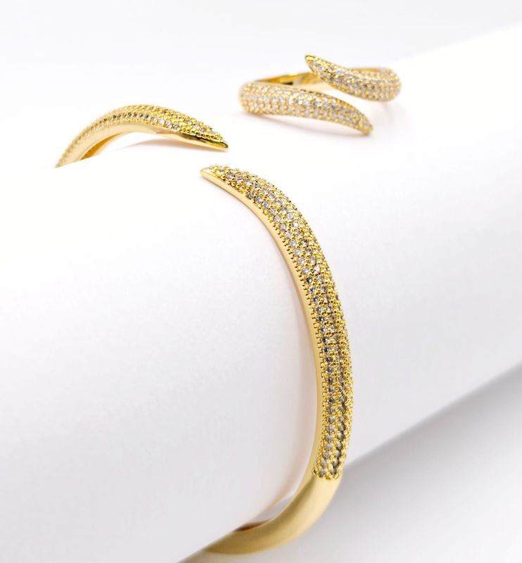 Juego de pulsera y anillo serpiente