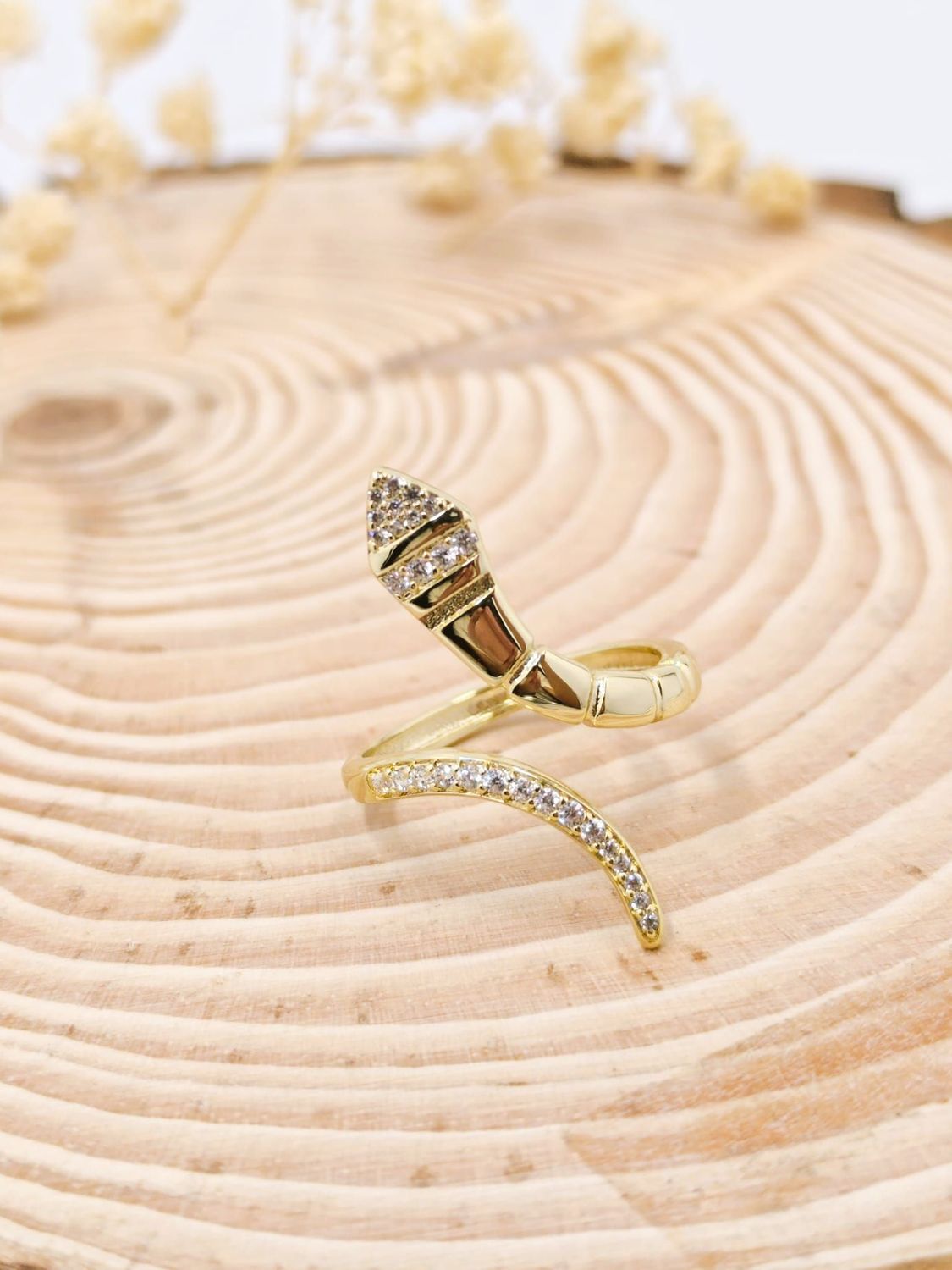 Anillo lagartija