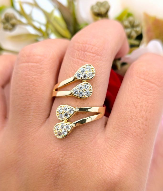 Anillo Planton Anillo Planton
