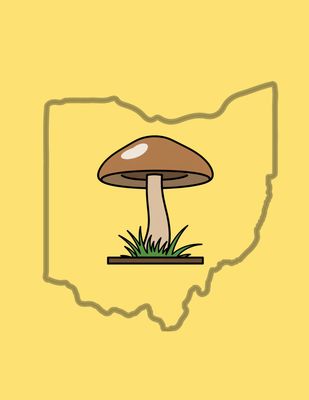 Mushrooms