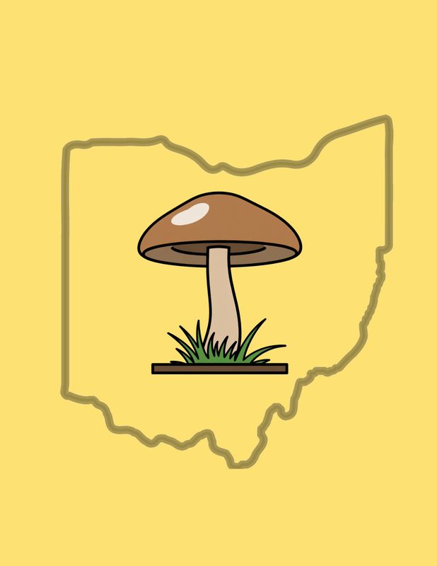 Mushrooms