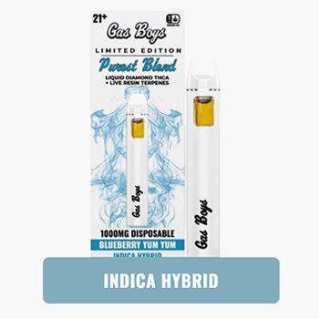 Gas Boys 1g Disposable Blueberry Yum Yum
