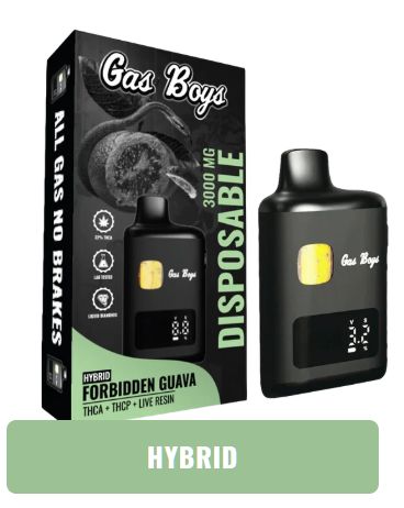 Gas Boys 3g Disposable Forbidden Guava