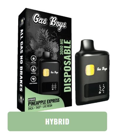 Gas Boys 3g Disposable Pineapple Express