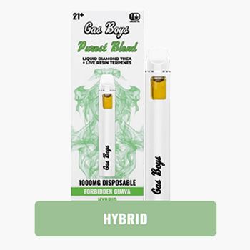 Gas Boys 1g Disposable Forbidden Guava
