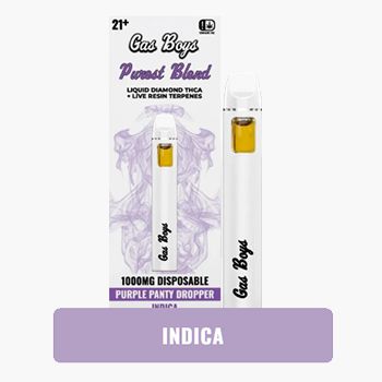 Gas Boys 1g Disposable Purple Panty Dropper