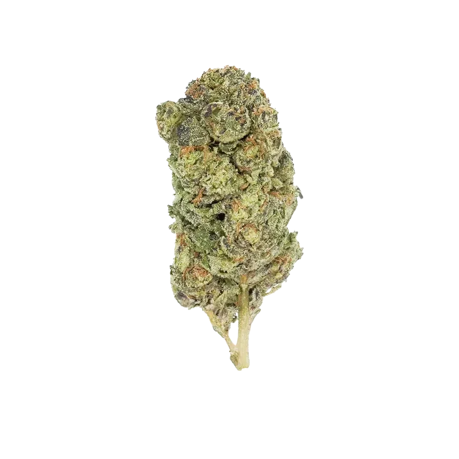 Gas Boys 3.5g Boutique Maui Wowie