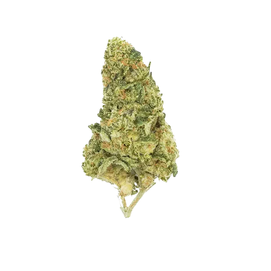 Gas Boys 1.5g Boutique White Widow
