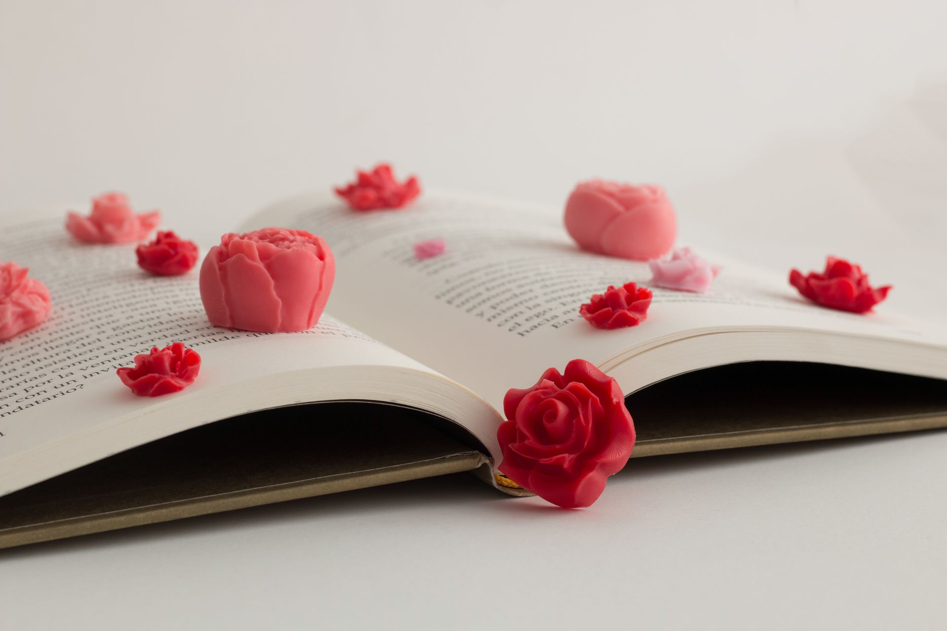 WAX MELTS SANT JORDI