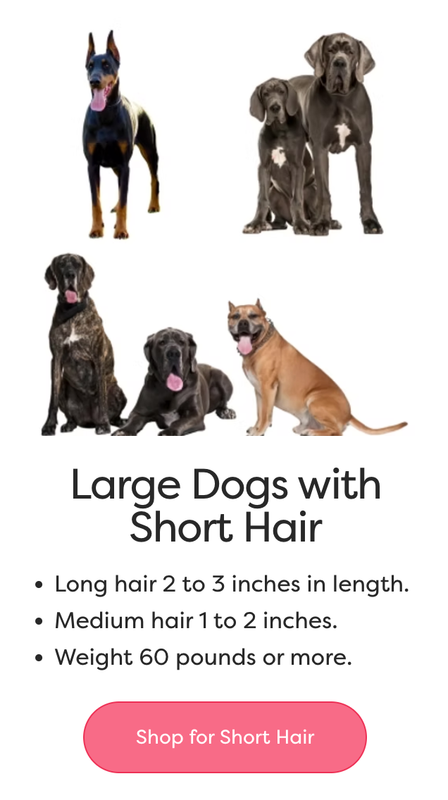 Large Dogs with short hair