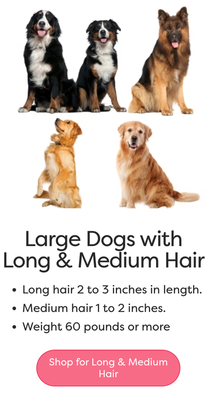 Large Dogs with Long &amp;  Medium Hair