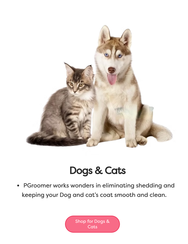 Dogs &amp; Cats