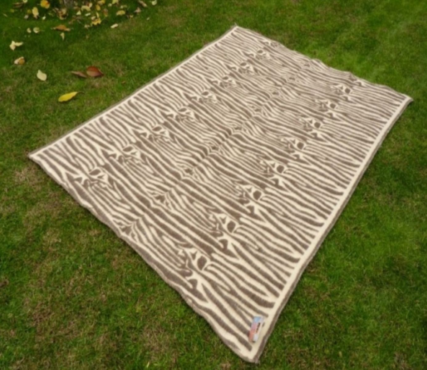 Zebra