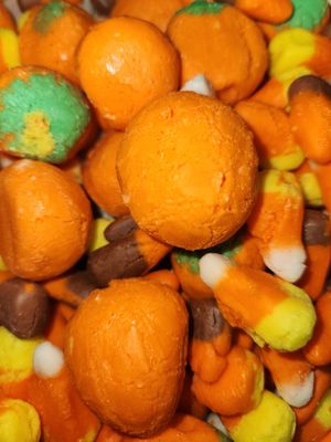 Fall Freeze-Dried Candy Collection: Taste the Season!
