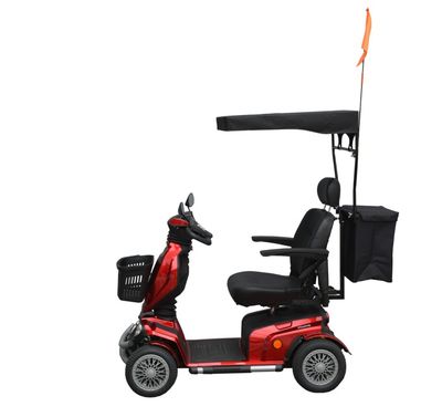 Scooter Canopy with Bag & Flag