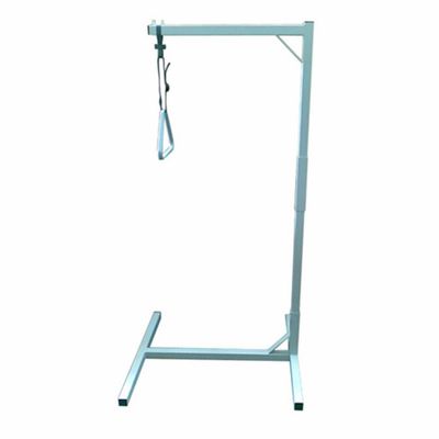Overbed Pole