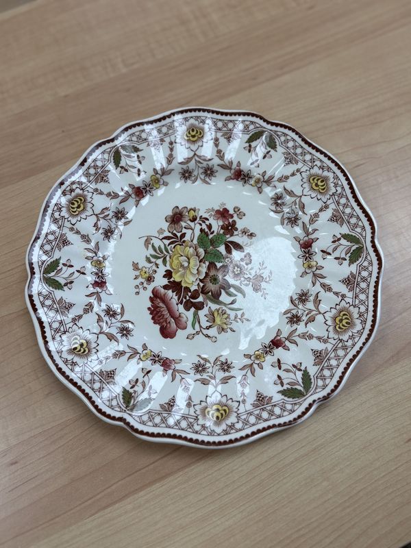 Porcelain. England. Dinner Plate. England. Royal Doulton. Brown Multicolor. Scalloped Rim.
