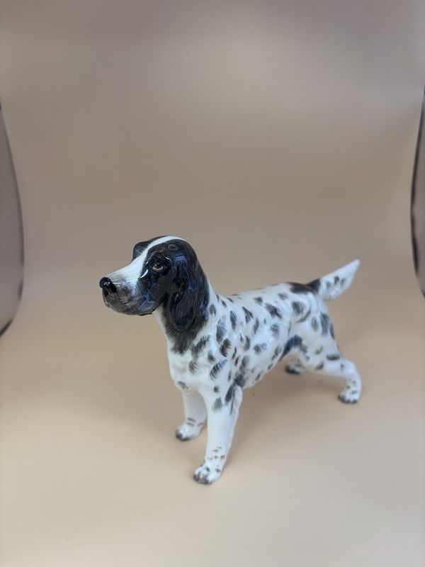 Figurine. Ireland. Porcelain English Setter Dog. White &amp; Black. 8&quot;L