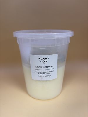 Home &amp; Bath. USA. Plant Life. Dough Bowl Refill Kit. Coconut Soy Candle (Choose Scent). 16 oz