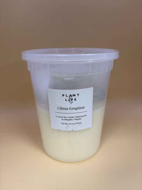 Home &amp; Bath. USA. Plant Life. Dough Bowl Refill Kit. Coconut Soy Candle (Choose Scent). 16 oz