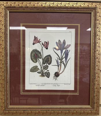 Artwork (Print). Flowers w/ Burgundy Mat. Gold Frame. Set of 2.