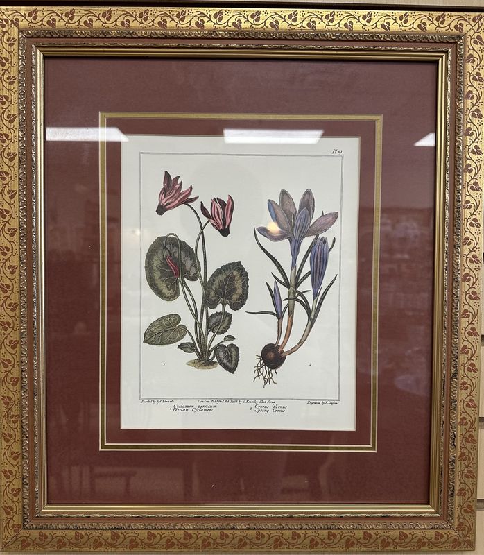 Artwork (Print). Flowers w/ Burgundy Mat. Gold Frame. Set of 2.
