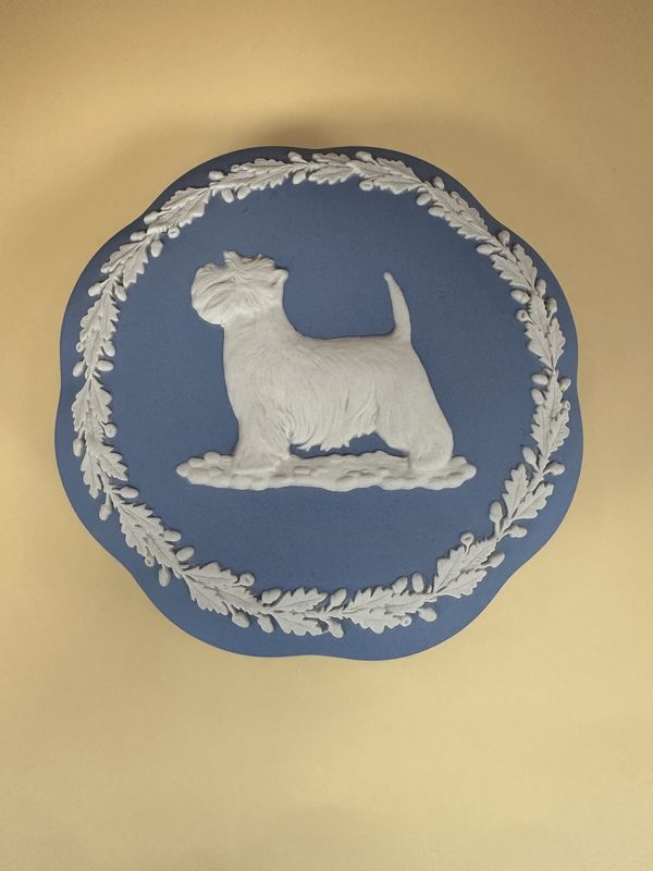 Jasperware. England. Wedgwood. Trinket Box w/Lid. Large, Round. Light Blue with White Highland Terrier. 5&quot;W