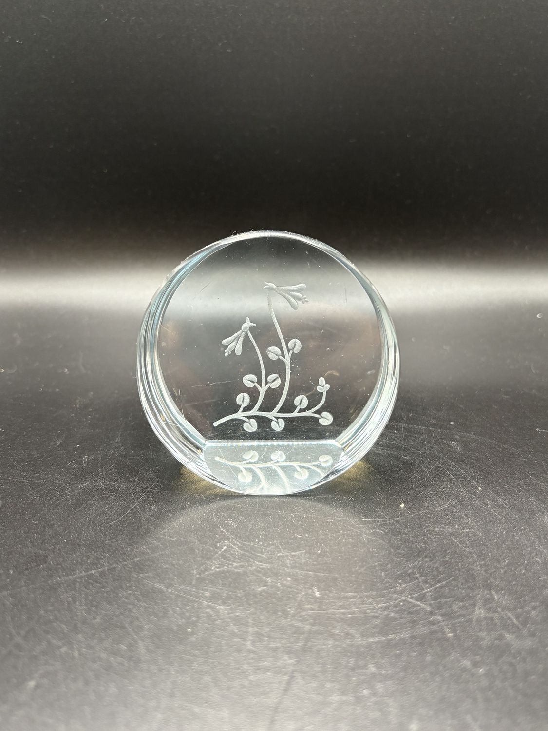 Home Decor. Oval Etched Dragonfly Glass Decor. 3.25&quot;W
