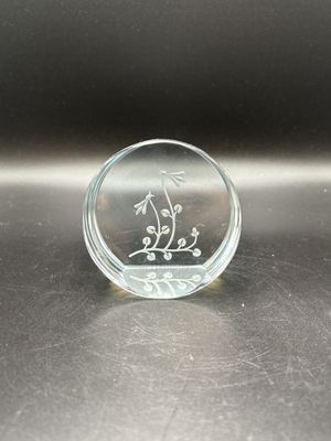 Home Decor. USA. Oval Etched Dragonfly Glass Paperweight. 3.25"W