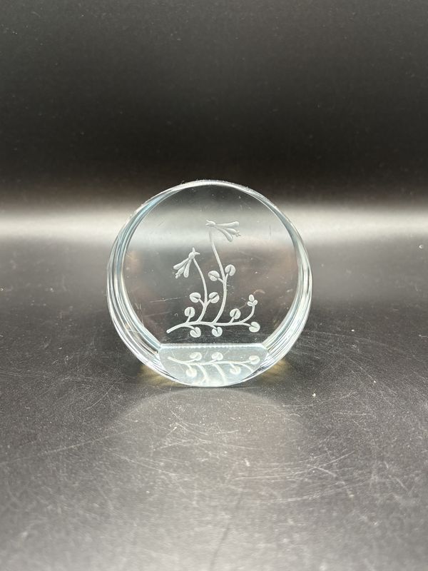 Home Decor. USA. Oval Etched Dragonfly Glass Paperweight. 3.25&quot;W