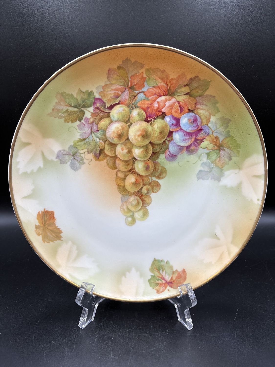 Dishware. Austria. MZ Austria. Hand Painted Plate w/ Cluster of Grapes &amp; Gold Trim. 8.5&quot;W