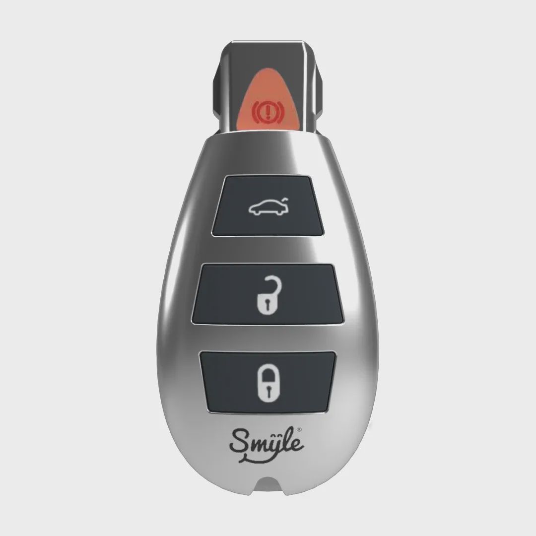 Penjamin Car Key, Color: Silver