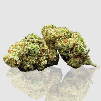 White Zangria THCA Flower - 25.62% (I)