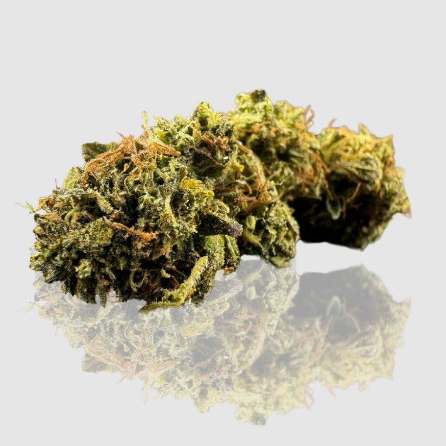 Black Cherry Soda THCA Flower - 19% (H)