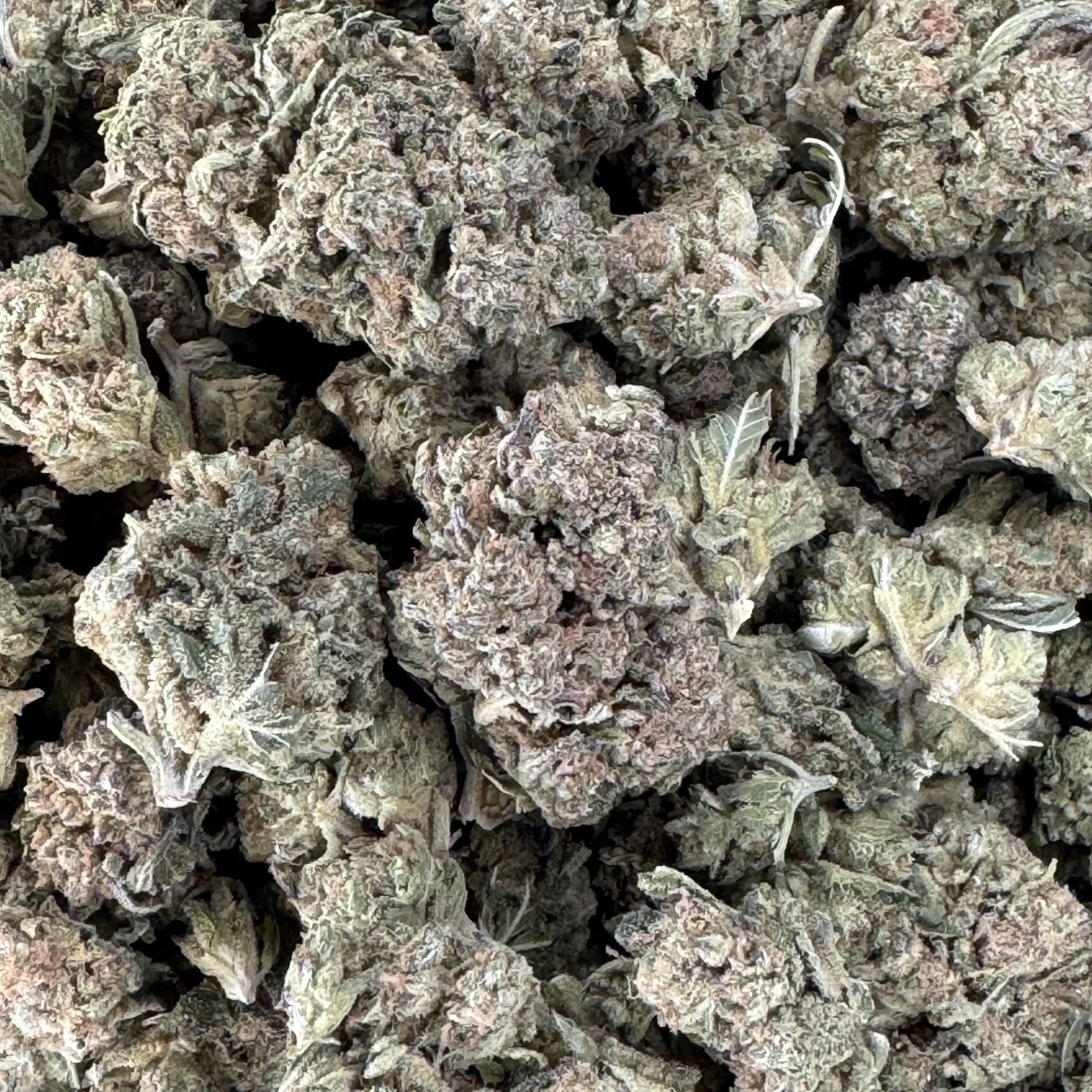 Vlone Runtz THCA Flower - 30.01% (IH)
