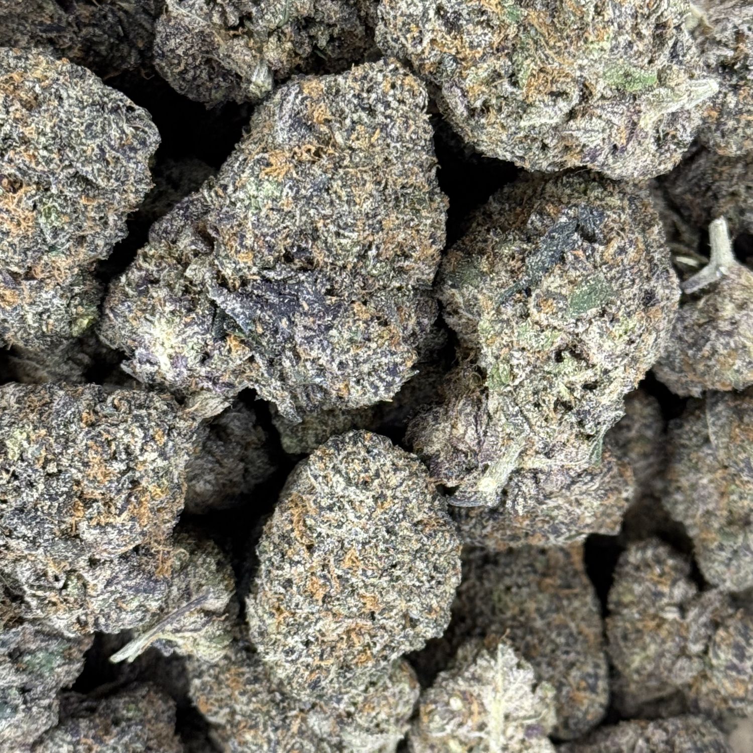 Ice Cream Waffle Cone THCA Flower - 24.09% (H)