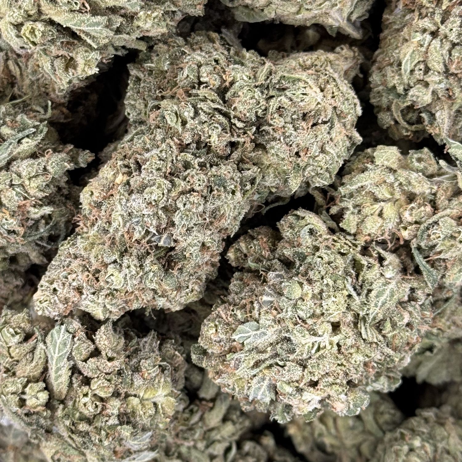 Durban Poison THCA Flower - 26.22% (S)