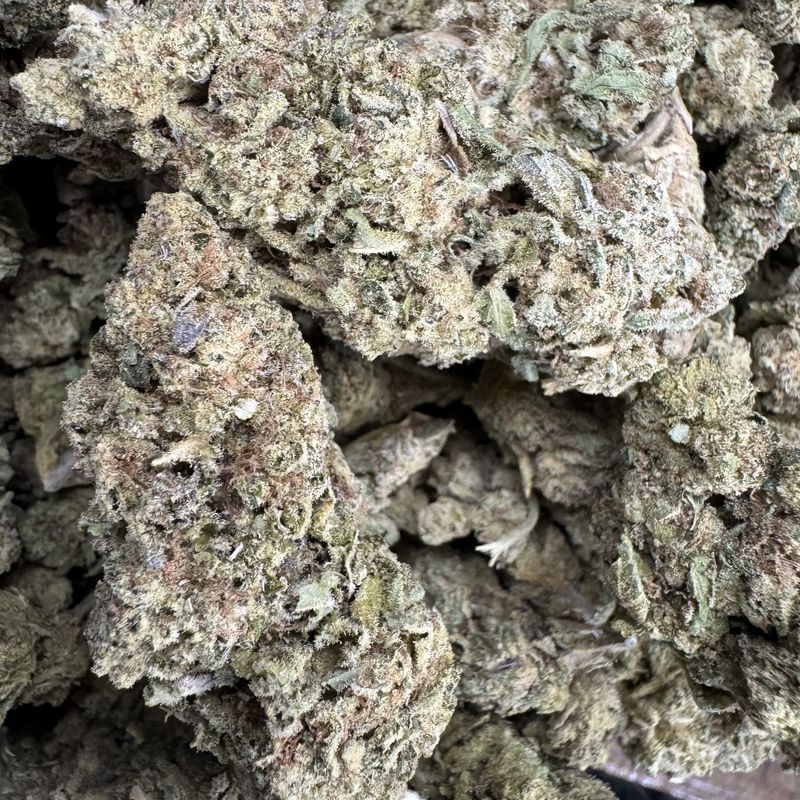 Animal Tsunami THCA Flower - 25.65% (IH)