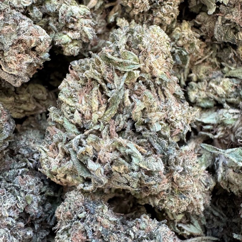 Apple Fritter THCA Flower - 21.62% (H)