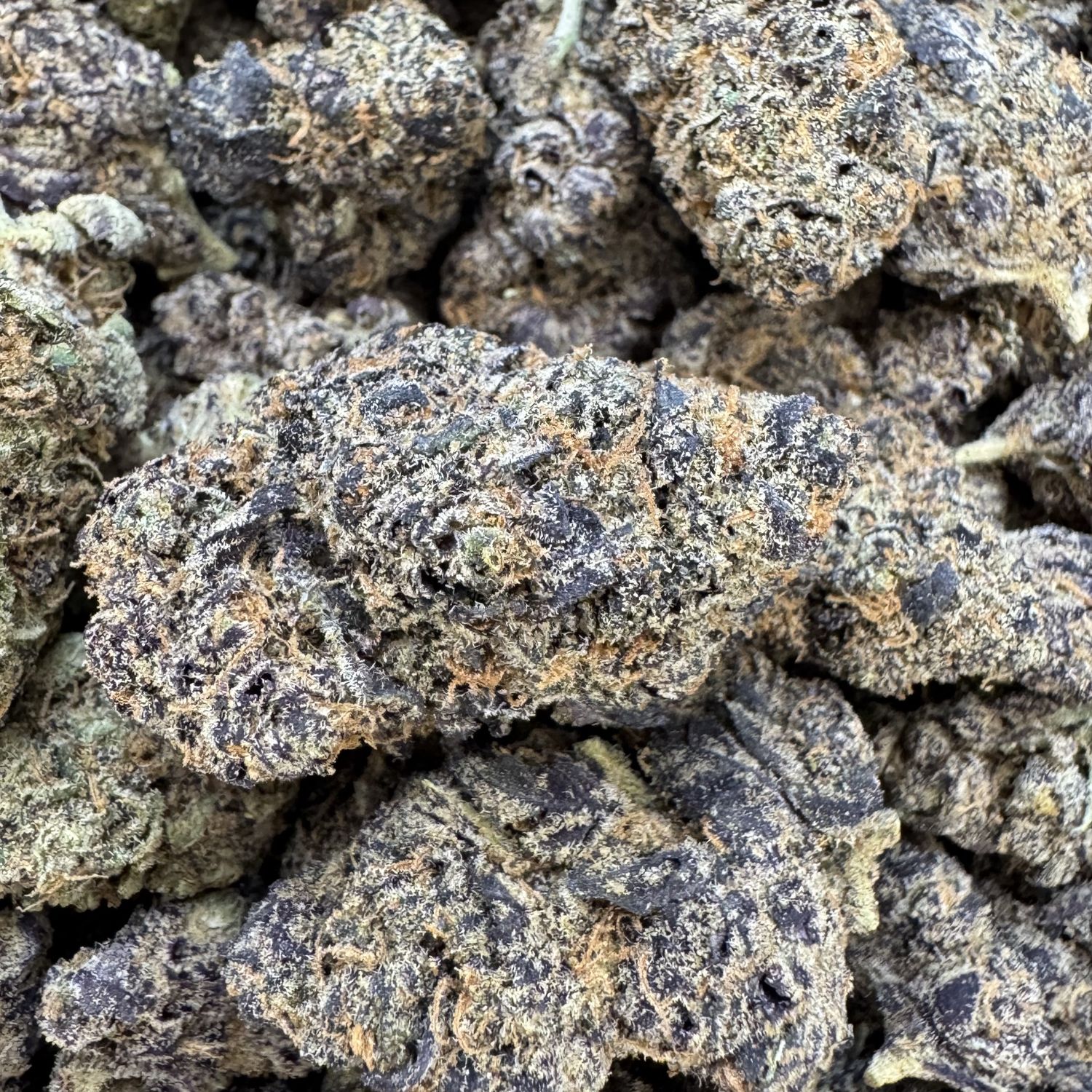 Candy Gas THCA Flower - 25.98% (H)