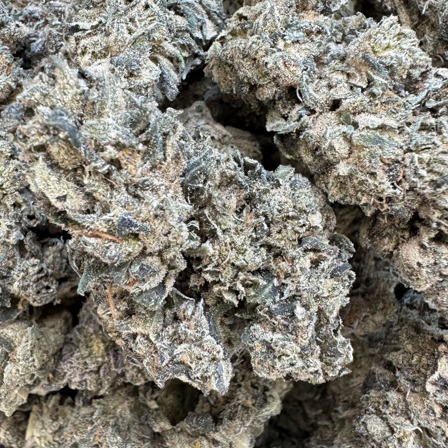Dosido THCA Flower - 29.07% (IH)