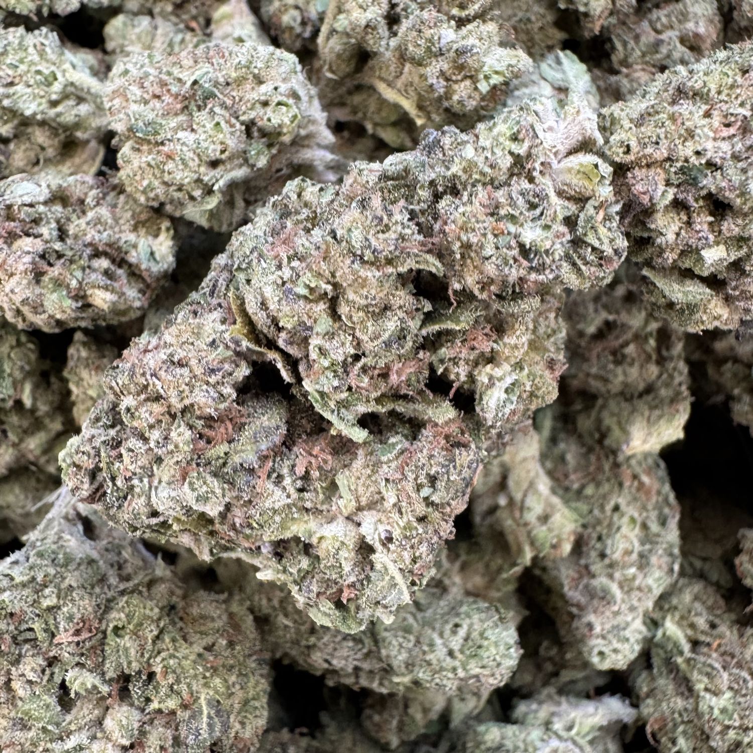 Triple Burger THCA Flower - 23.78% (I)
