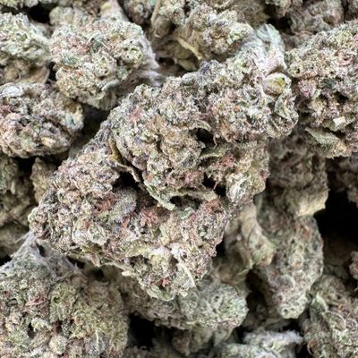Triple Burger THCA Flower - 23.78% (I)