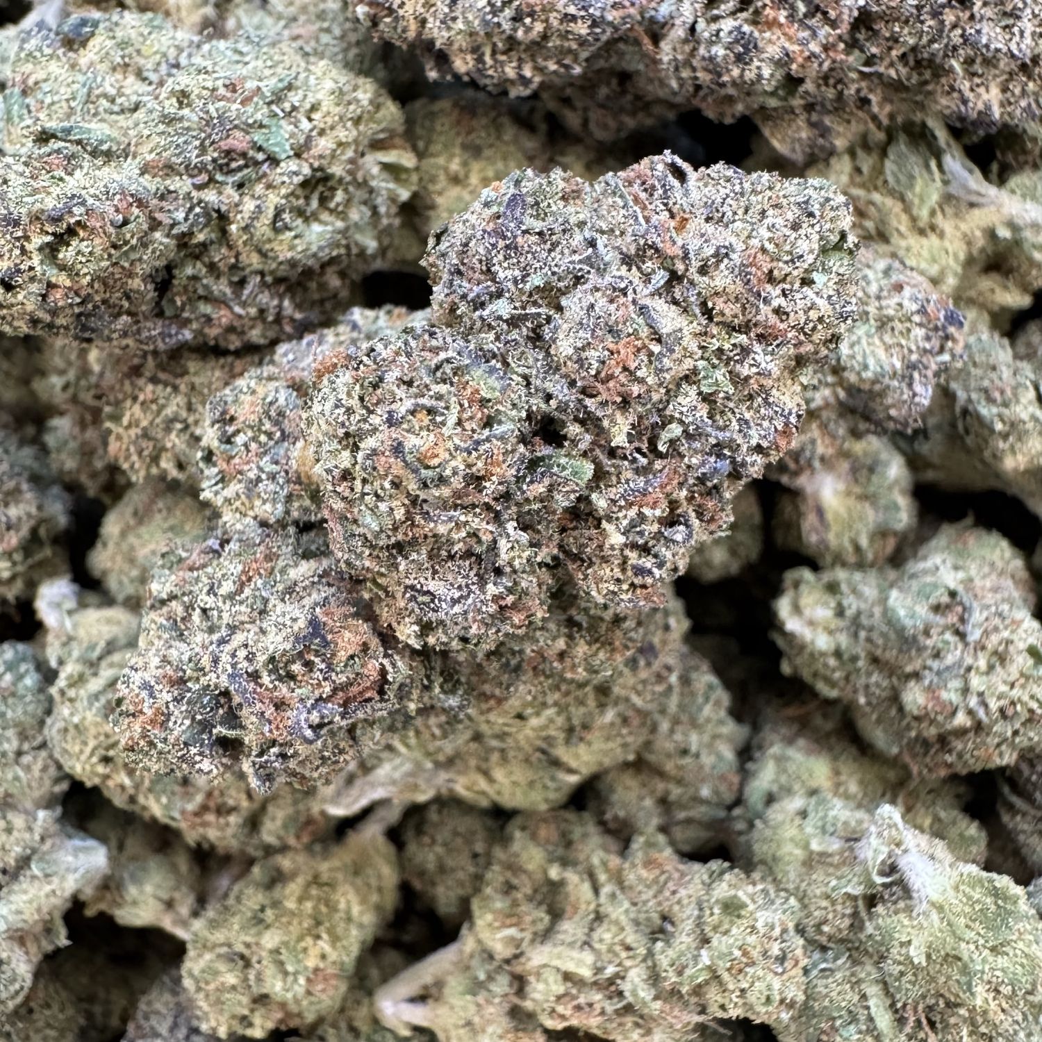 Lemon Punch THCA Flower - 20.73% (H)