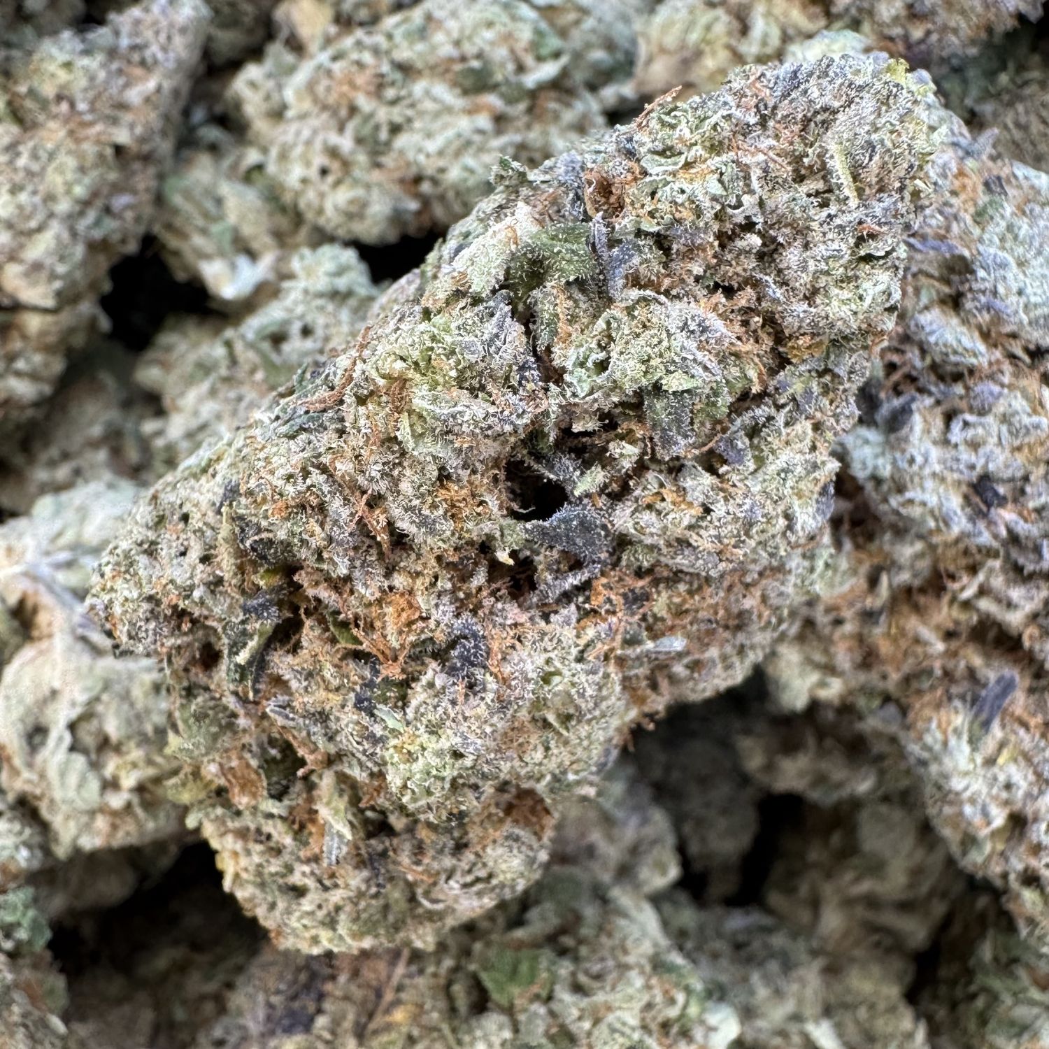 MoonRaker #7 THCA Flower - 21.11% (IH)