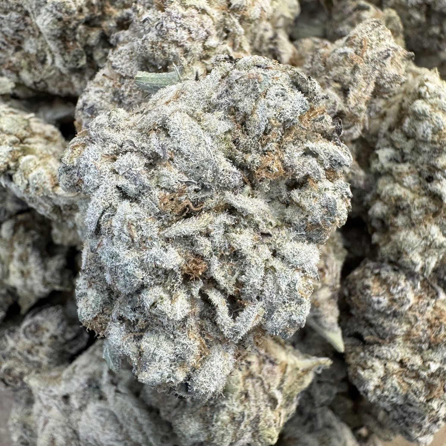 Mango Mojito THCA Flower -  28.99% (H)