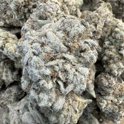 Mango Mojito THCA Flower -  28.99% (H)