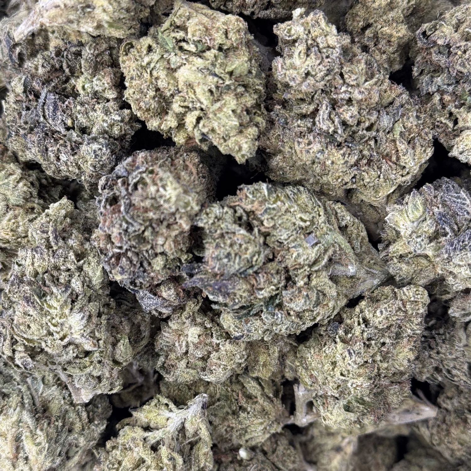 Pave THCA Flower - 23.42% (H)