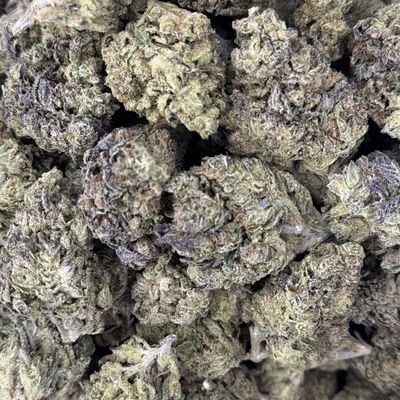 Pave THCA Flower - 23.42% (H)