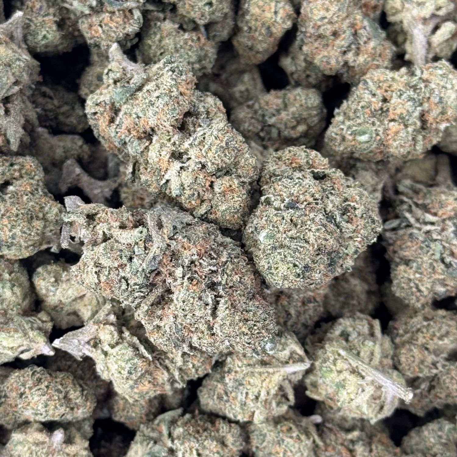 Orange Marmalade THCA Flower - 24.20% (SH)
